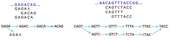 Sequencing errors (shown in red) give rise to tips (left) and bubbles (right).