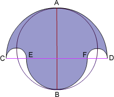 labelled diagram of salinon