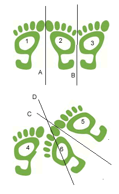 footy rotations