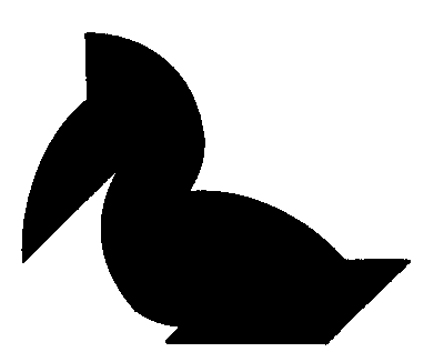 Bird 4