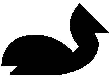 Bird 5