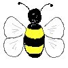 bee