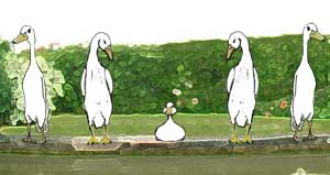 Negative ducks