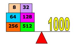 weights to balance 1000g