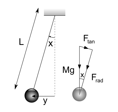 Annotated simple pendulum diagram